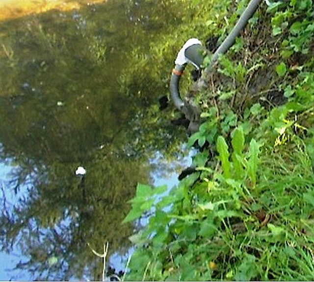 Zdjęcie przedstawiające miejsce zrzutu nieczystości do kanału melioracyjnego- po lewej stronie kadru widać wodę, z prawej brzeg rowu z fragmentem rury, z której płynęły nieczystości/.