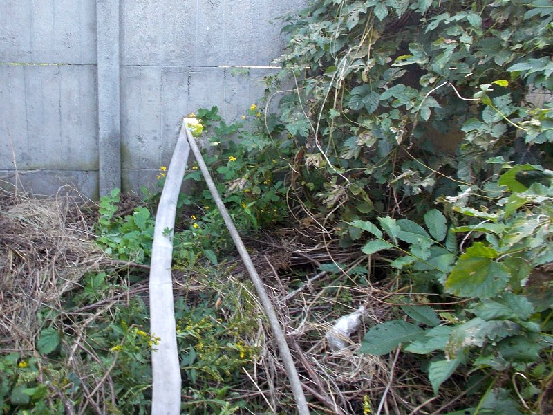 Zdjęcie z interwencji- wąż służący do wylewania nieczystości przewleczony przez dziurę w betonowym płocie.