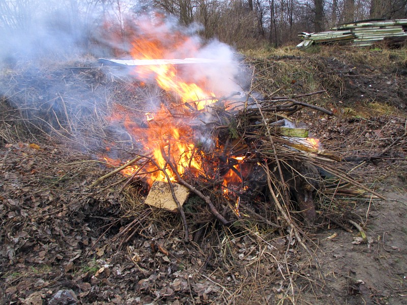 Zdjęcie z interwencji: płonące w ognisku odpady i gałęzie.