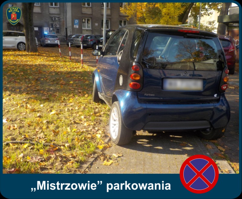 Nieprawidłowo zaparkowany- na chodniku i trawniku- granatowy Smart. Pod spodem ramka, na niej znak "zakaz parkowania" oraz napis "Mistrzowie parkowania".