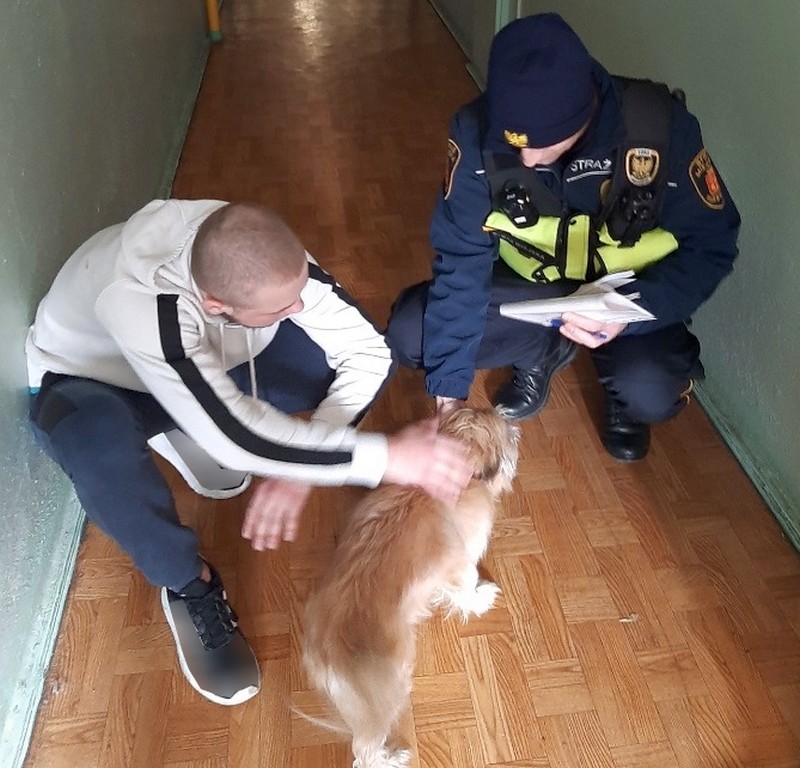 Pies wita się z właścicielem na korytarzu bloku. Obok nich kuca strażnik miejski.