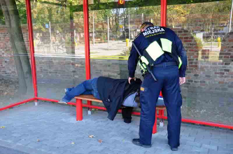 Strażnik miejski pochyla się nad leżącym na przystanku mężczyzną- zdjęcie ilustracyjne.