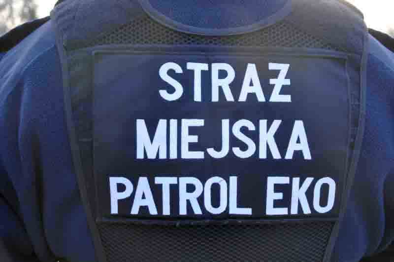 Zdjęcie ilustracyjne: strażnik w kamizelce służbowej z napisem "Straż miejska patrol eko" na plecach.