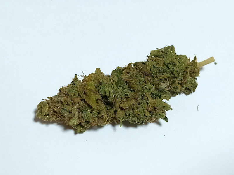 Susz marihuany- zdjęcie ilustracyjne