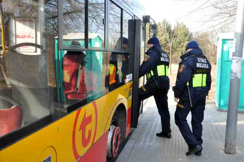 Strażnicy miejscy wchodzący do autobusu- zdjęcie ilustracyjne