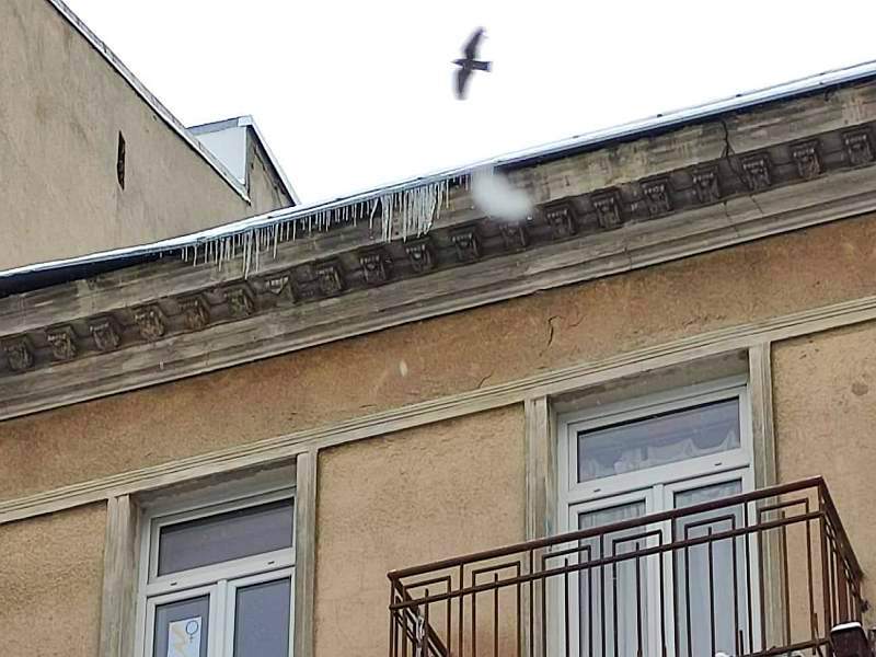 Sople zwisające z dachu budynku
