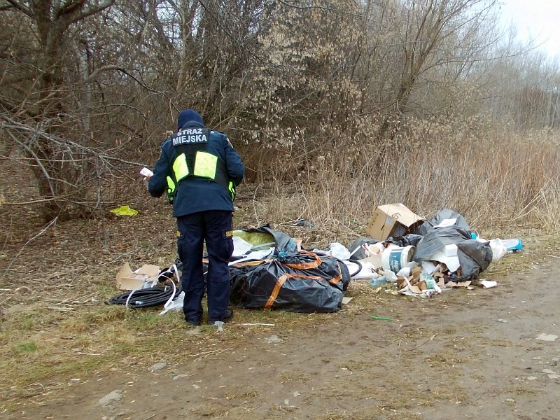 Strażnik miejski przy stosie śmieci porzuconych w lesie przy Radzymińskiej
