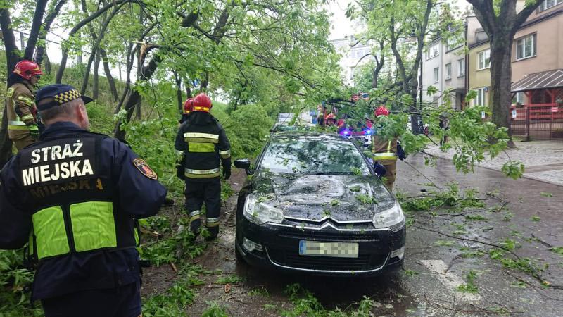 Strażnik miejski przy uszkodzonym przez zwalone drzewo samochodzie