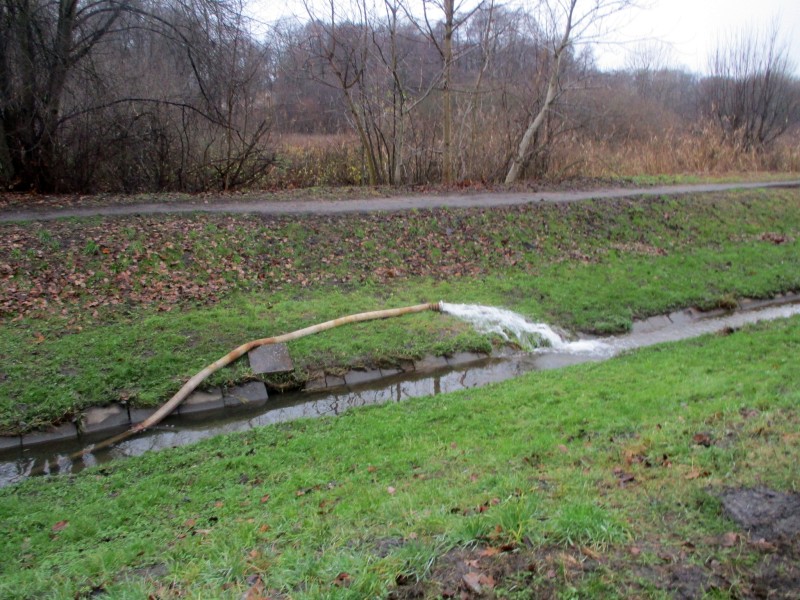 Zdjęcie z interwencji: płynący potok, na jego brzegu leży wąż strażacki, z którego tryska woda do potoku.