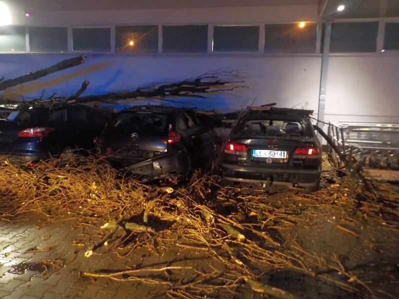 Zdjęcie z interwencji: rząd samochodów zaparkowanych pod ścianą budynku, na nich leży przewrócone drzewo.
