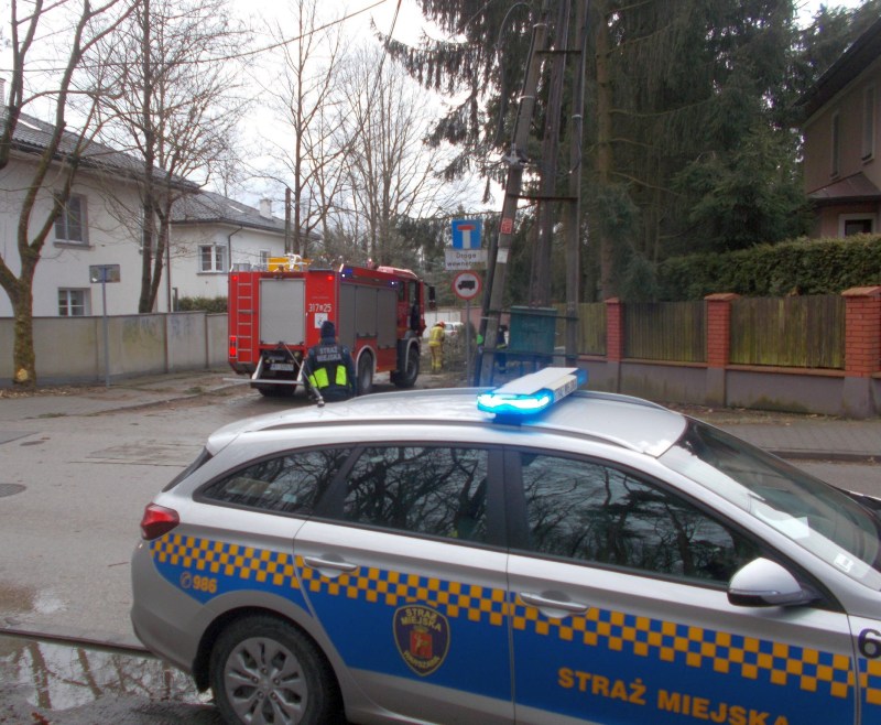 Zdjęcie z interwencji: radiowóz straży miejskiej stoi przy ulicy. W tle wóz strażacki oraz powalone drzewo.