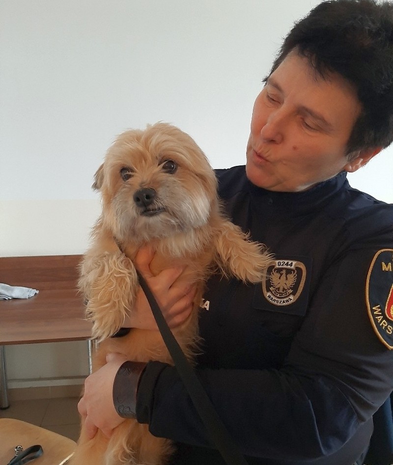 St. insp. Dorota Widłak ze znalezionym psem na rękach